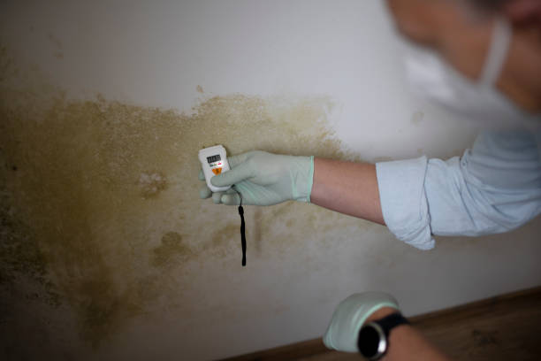 Best Residential Mold Removal  in Combe, LA
